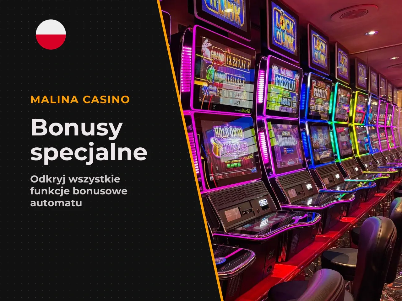 Symbole i funkcje bonusowe wild, scatter