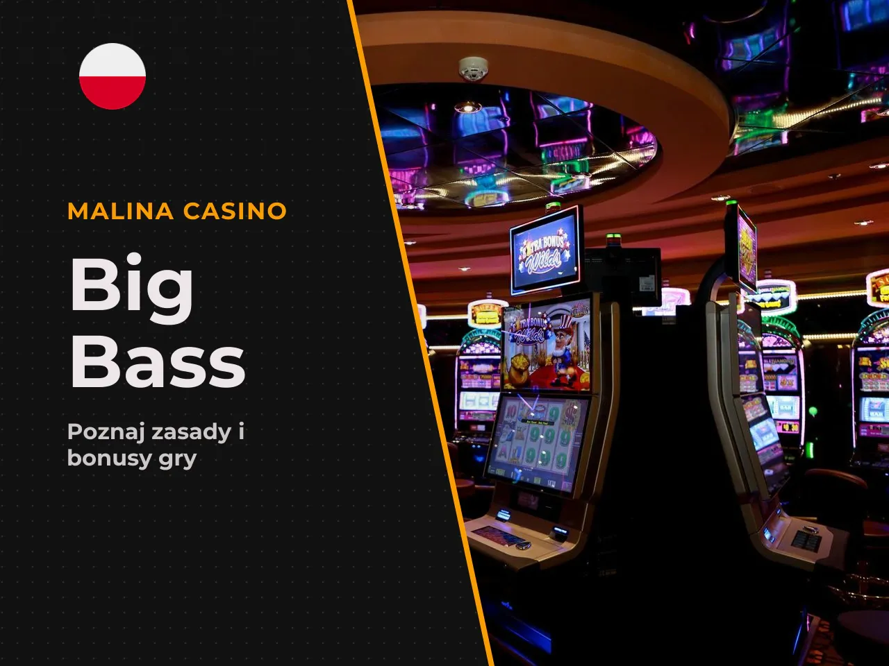 Big Bass Bonanza od Pragmatic Play
