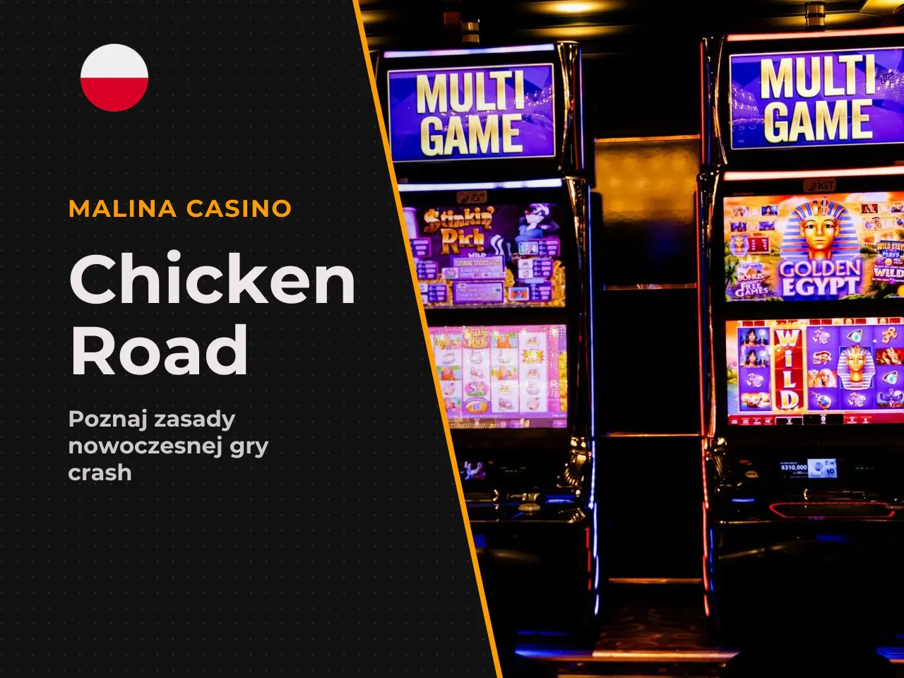 Syntetyczna ocena i główne wnioski. Chicken
