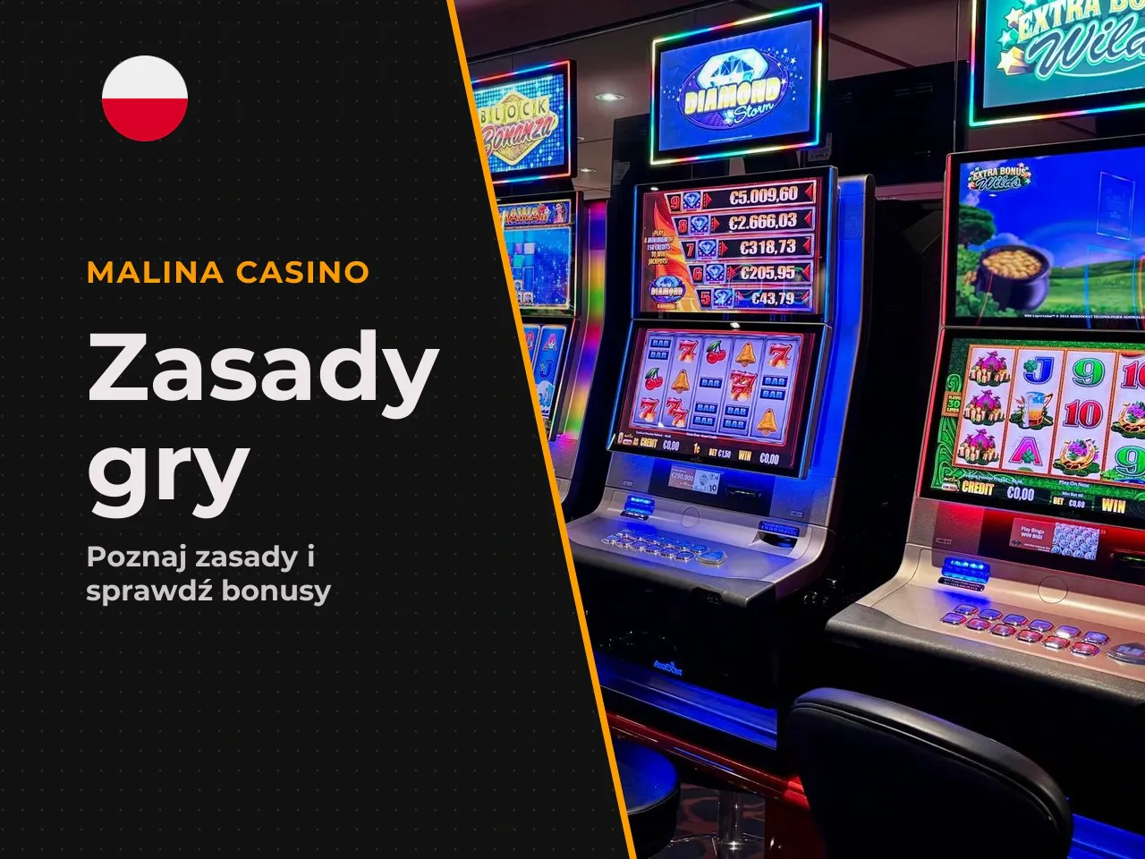 Zasady rozgrywki i przebieg jednego spina