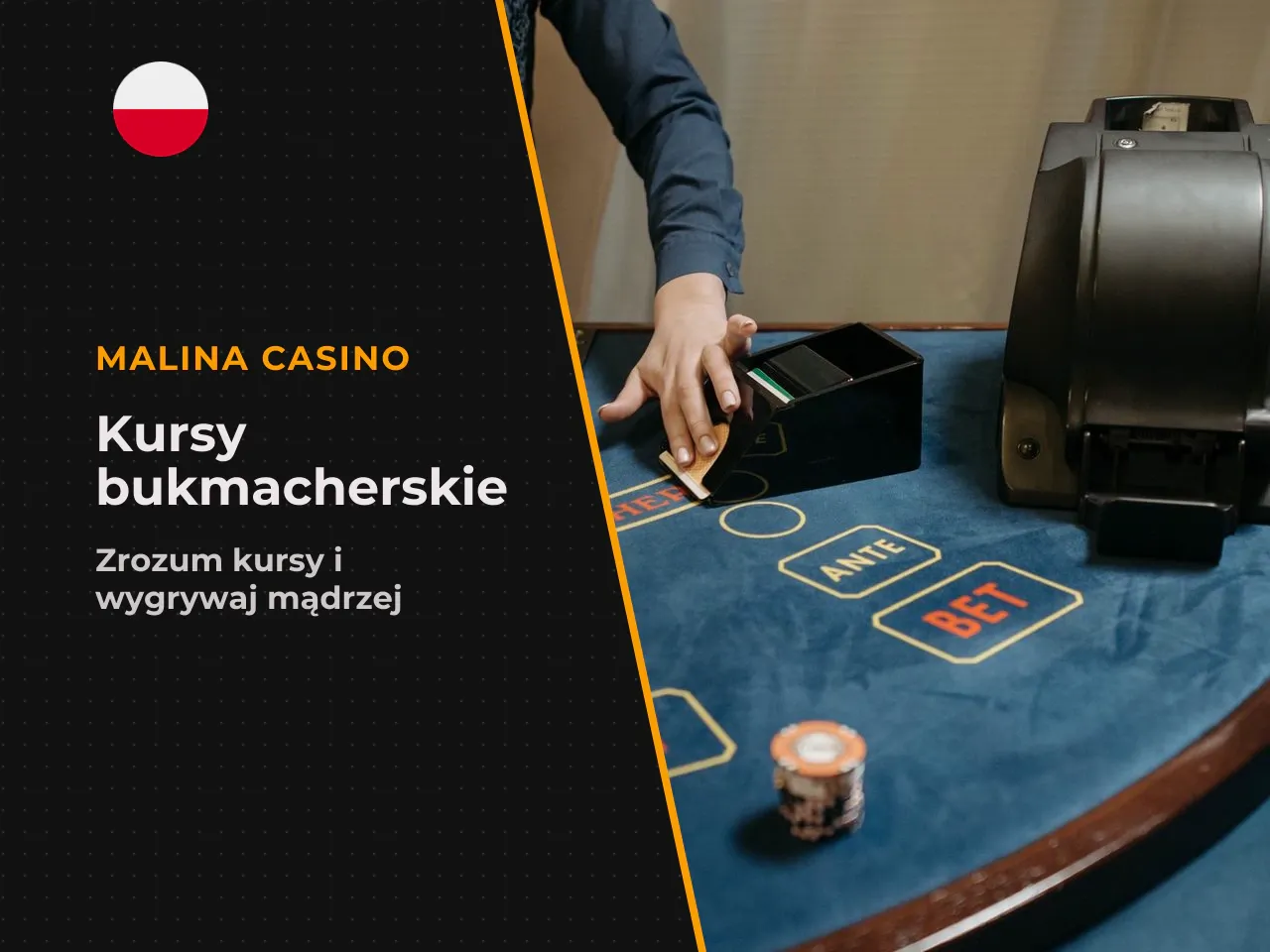 Jak czytać kursy i porównywać dostępne
